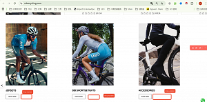 Why can't "Text column with images" have the option to add a second button?